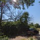 PXL_20230610_091015342 (Klein)
